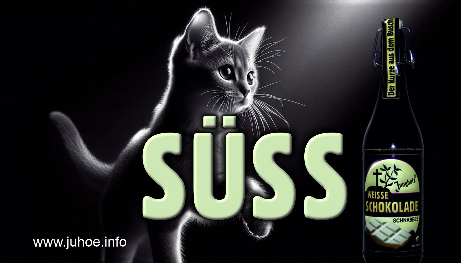 Ein junge graue Katze springt aus einem dunklen Hintergrund, sie ist von oben beleuchtet. Links im Vordergrund steht eine WEISSE SCHOKOLADE-SCHNABBES-Flasche.